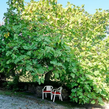 Locazione Turistica Castello - And230 Βίλα Molino Nuovo (Savona)